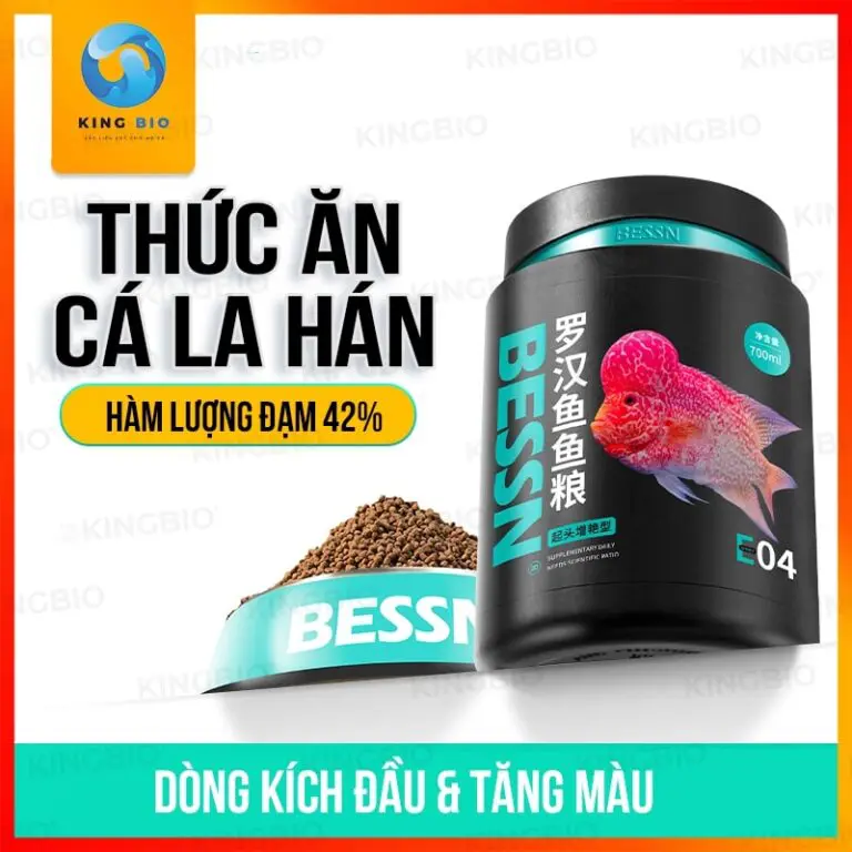 cám cá la hán Bessn