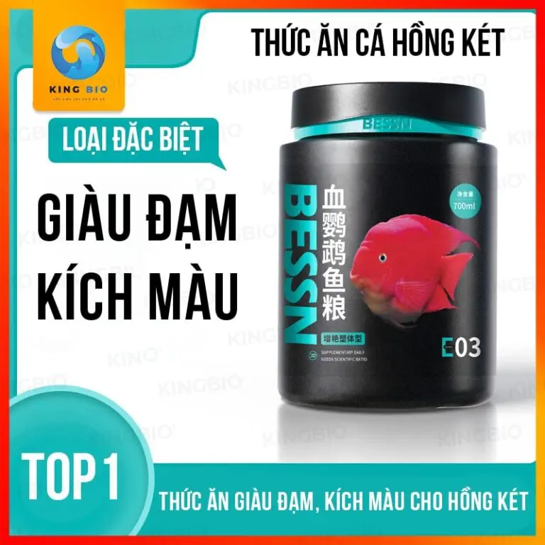 cám cho cá hồng két Bessn