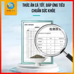 Cám Bessn Koi Food thức ăn cao cấp giàu đạm, tảo xoắn và giàu Vitamin cho cá KOI - Ảnh 4
