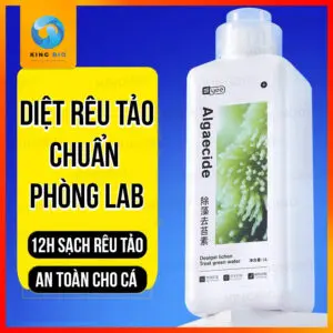 Chế phẩm sinh học diệt rêu Yee Algaecide