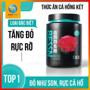 cám cá hồng két Bessn Blood Parrot