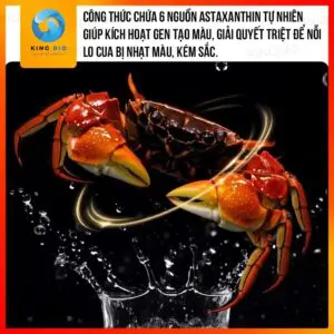 [Hộp 115g] Cám Yee Crab Food - thức ăn dinh dưỡng cho cua cảnh, cua ẩn sĩ, ốc mượn hồn - Ảnh 3