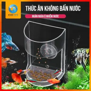 Cám cho cá nhỏ Yee Fish Food thức ăn dinh dưỡng cho cá nhỏ - Ảnh 4