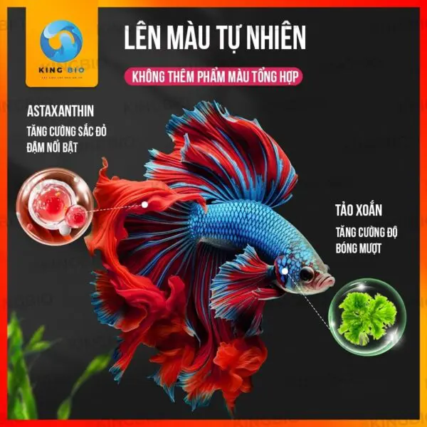 Cám cho cá nhỏ Yee Fish Food thức ăn dinh dưỡng cho cá nhỏ - Ảnh 5