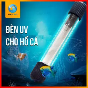 Đèn UV cho bể cá