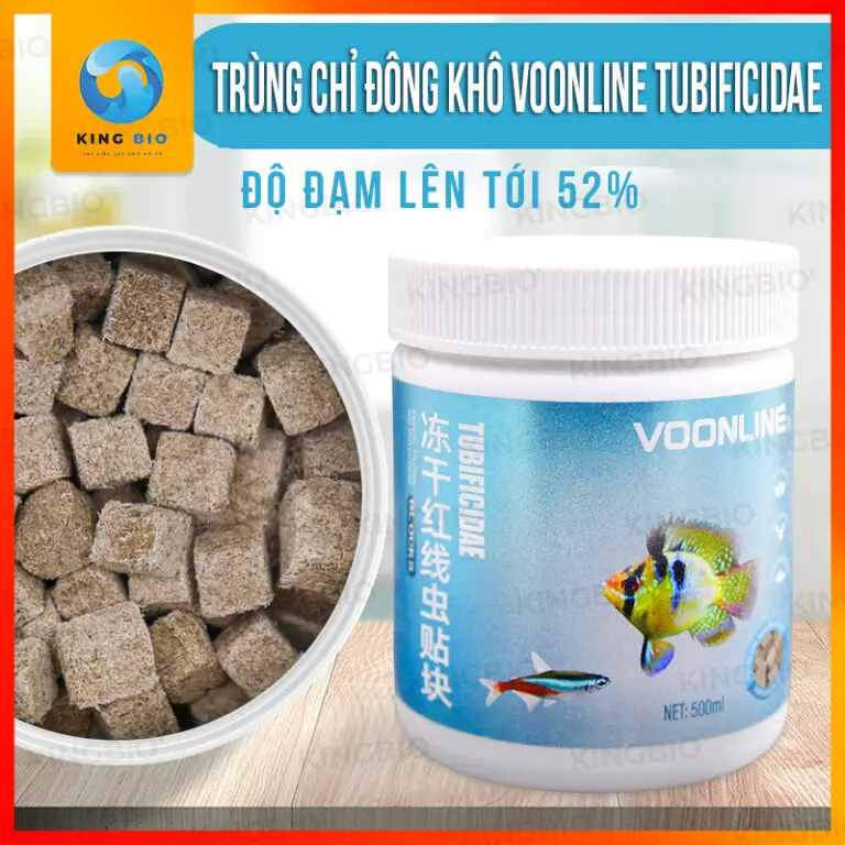 Trùng chỉ đông khô Voonline Tubificidae