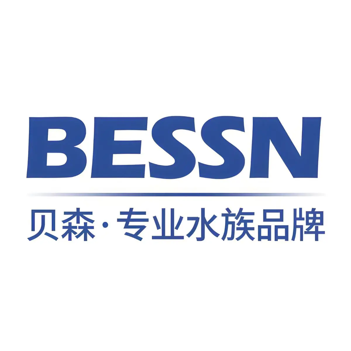 Logo Bessn