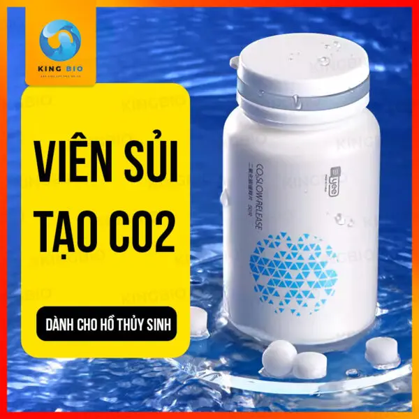 Viên Sủi CO2 Yee