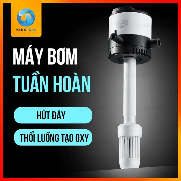 Máy bơm hồ cá thủy sinh Yee