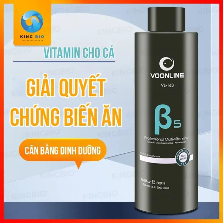 Voonline B5 Professional Multi Vitamin