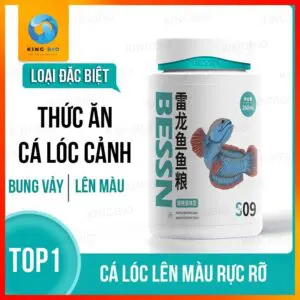 Cám cá lóc cảnh Bessn S09 hạt 3mm