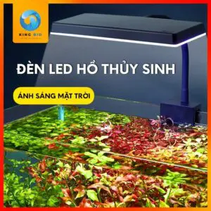 Đèn led kẹp Yee