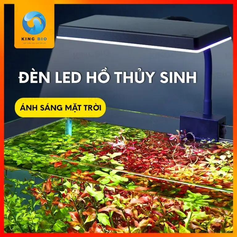 Đèn led kẹp Yee