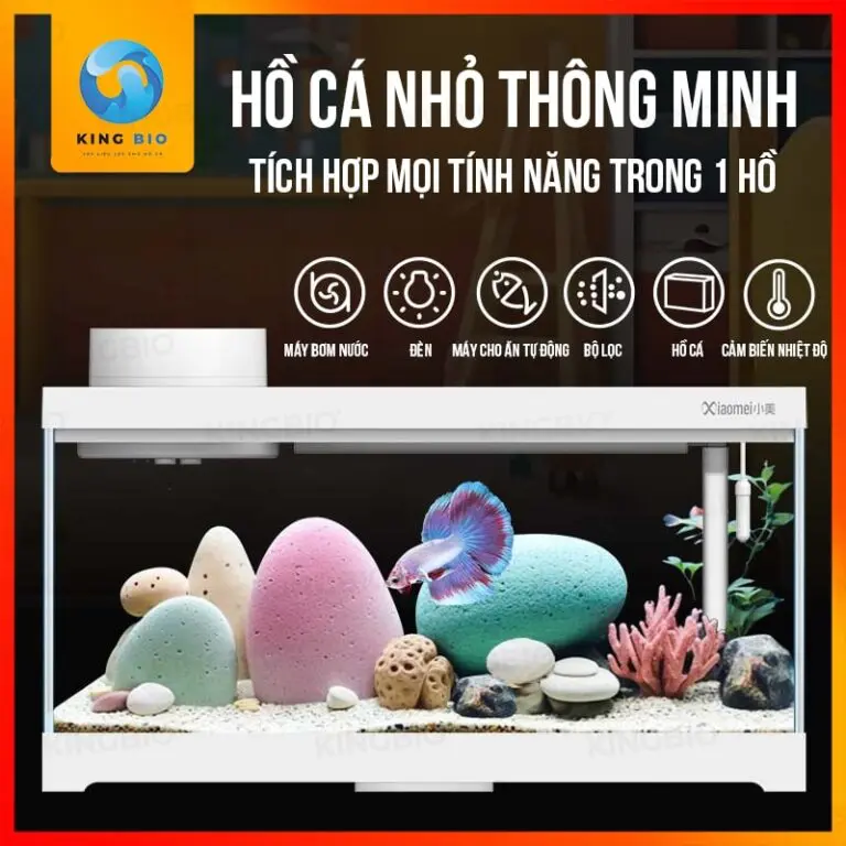 Hồ cá mini thông minh Xiaomei