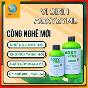vi sinh aoxyzyme
