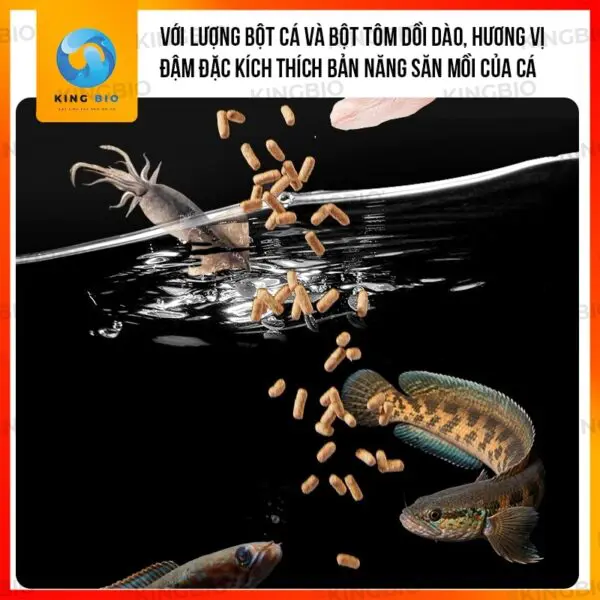 Cám cá lóc cảnh Yee thức ăn cân bằng dinh dưỡng hỗ trợ tăng màu cho cá lóc cảnh - Ảnh 3