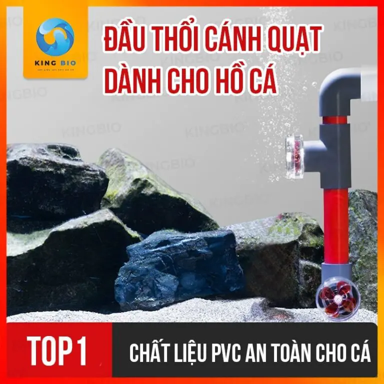 Quạt xoay tự động Yee
