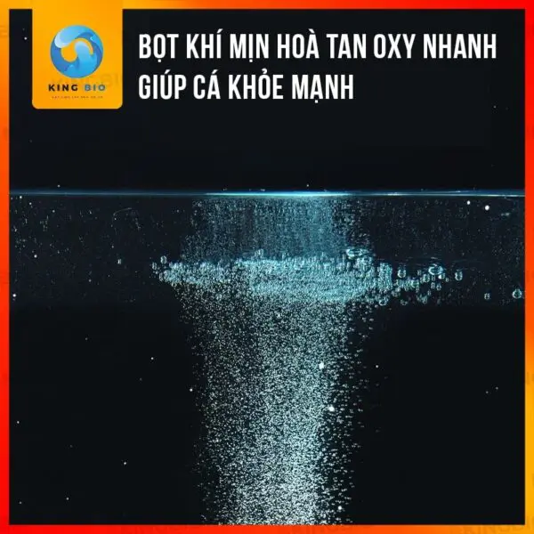 Đĩa sủi oxy mịn yee - bọt khí mịn, thiết kế inox bền bỉ, thẩm mỹ cho hồ cá cảnh - Ảnh 2