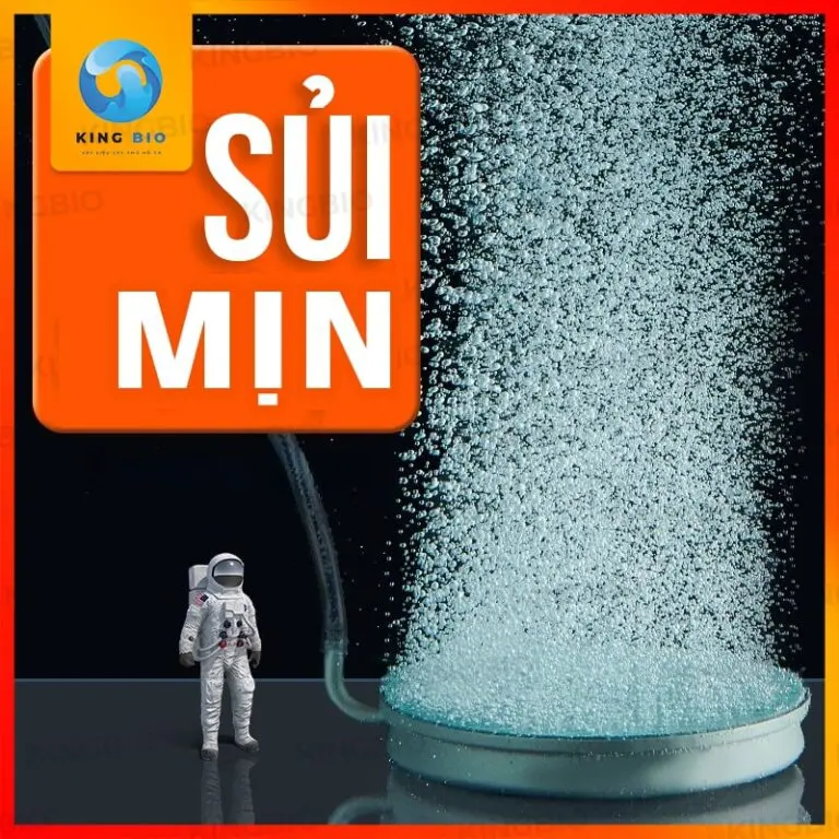 Đĩa sũi oxy mịn Yee