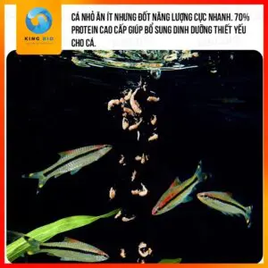 Tôm đỏ đông khô Yee Krill thức ăn dinh dưỡng cho cá cảnh và rùa - Ảnh 3