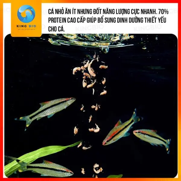 Tôm đỏ đông khô Yee Krill thức ăn dinh dưỡng cho cá cảnh và rùa - Ảnh 3