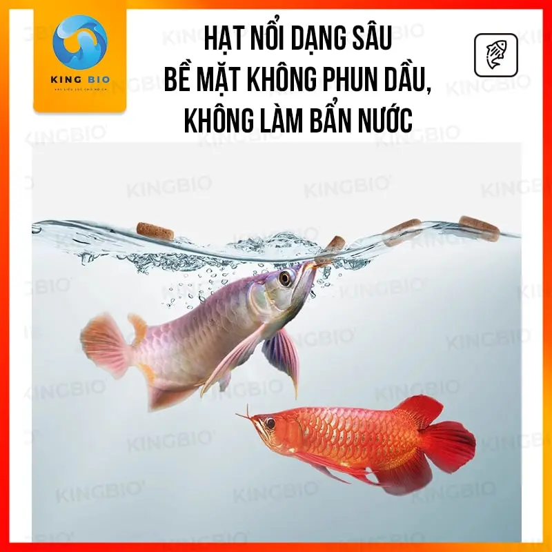 Cám cho cá rồng Bessn 1 Thức ăn cho cá rồng Bessn – Dinh dưỡng đậm đặc, tăng vẻ đẹp tự nhiên - Ảnh 2