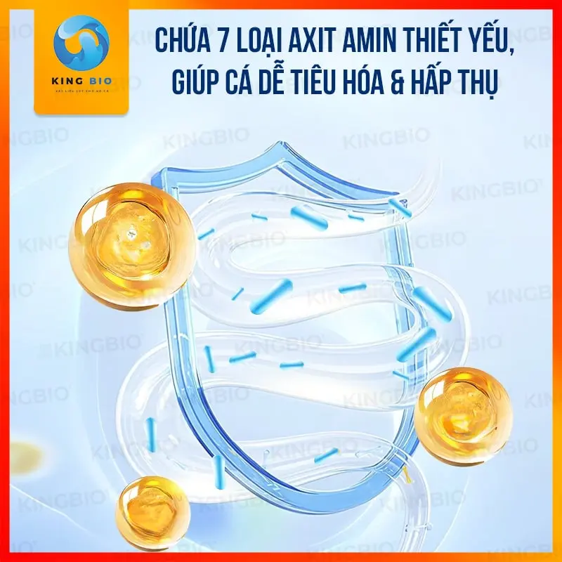 Thức ăn 2 trong 1 Bessn 1 Thức Ăn 2 Trong 1 Bessn - Cám nổi + Tôm đỏ đông khô – Dinh dưỡng toàn diện, tăng màu vượt trội - Ảnh 2