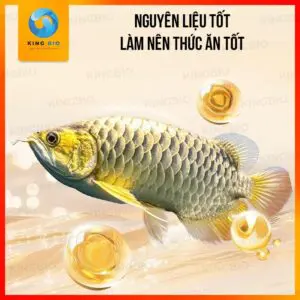 Thức Ăn 2 Trong 1 Bessn - Cám nổi + Tôm đỏ đông khô – Dinh dưỡng toàn diện, tăng màu vượt trội - Ảnh 4