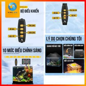 Đèn led kẹp usb Zhiyang cho hồ cá - chiếu sáng đẹp, tuỳ chỉnh linh hoạt, hỗ trợ thuỷ sinh - Ảnh 6