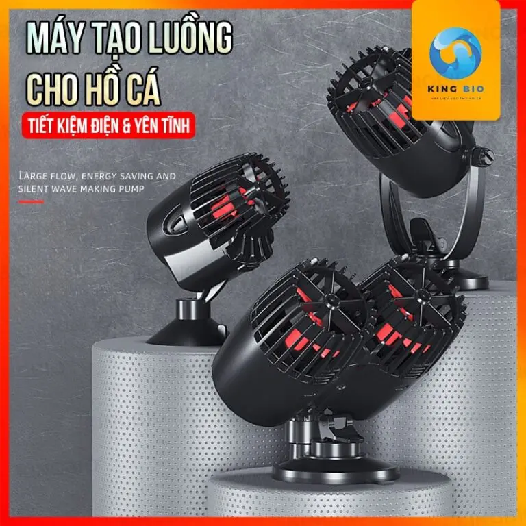 máy thổi luồng Zhiyang