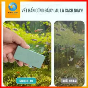 Miếng tẩy cặn canxi cho hồ cá – Vệ sinh kính hồ cá, tẩy canxi không lo trầy xước - Ảnh 3
