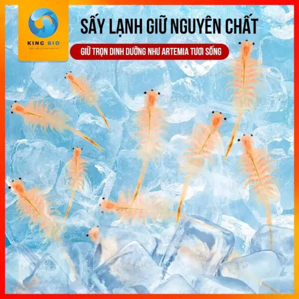 Artemia sinh khối đông khô Voonline thức ăn giàu đạm cho cá cảnh - Ảnh 3