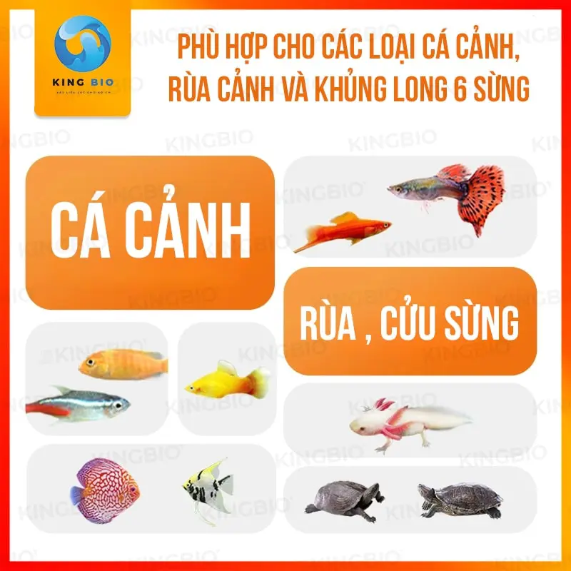 trùng huyết đông khô Bessn 1 Trùng huyết đông khô Bessn – thức ăn dinh dưỡng an toàn, tiện lợi cho cá cảnh - Ảnh 2