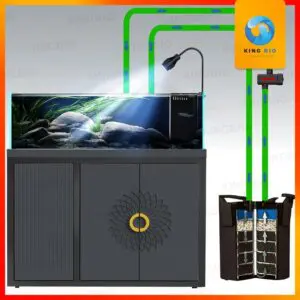 Đèn UV gắn ngoài Zhiyang cho hồ cá - diệt khuẩn và hạn chế rêu tảo cho hồ cá - Ảnh 3