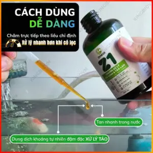 Chế phẩm sinh học xử lý rêu tảo hồ cá Z1 Zenkoi - Ảnh 6