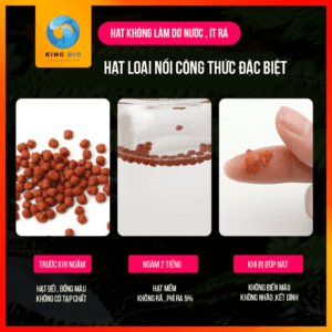 Cám Bessn Flower Horn thức ăn hỗ trợ lên màu, lên đầu và giàu Vitamin cho cá la hán - Ảnh 3