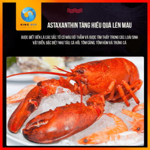 Cám Bessn Flower Horn thức ăn hỗ trợ lên màu, lên đầu và giàu Vitamin cho cá la hán - Ảnh 4