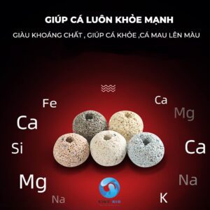 Viên gốm lọc 3D Nano Ball No1 - Ảnh 2