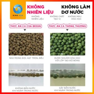 Cám Bessn Butterfly thức ăn giàu đạm, tảo xoắn và Vitamin cho cá chép sư tử - Ảnh 3