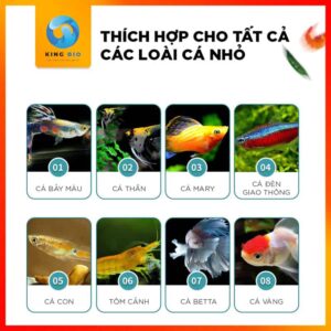 Cám Bessn Grain Fish Feed - Thức ăn giàu dinh dưỡng và Vitamin cho cá nhỏ hạt chìm chậm - Ảnh 4