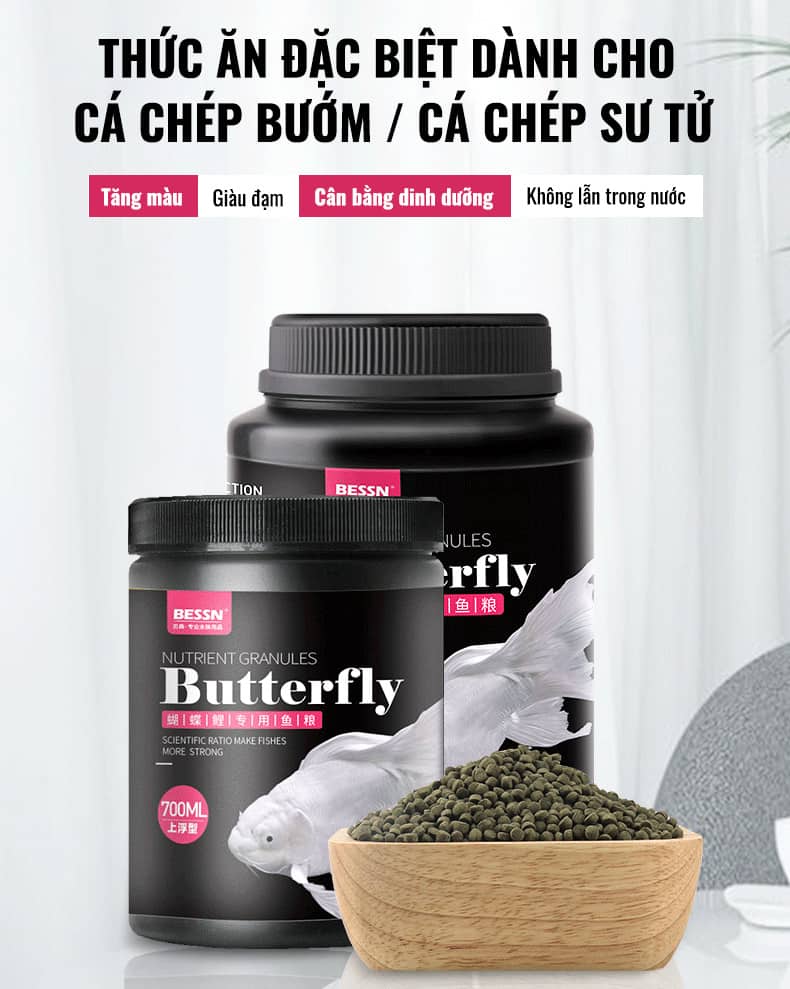 Thức ăn dinh dưỡng cho cá chép sư tử và cá chép bướm Bessn Butterfly