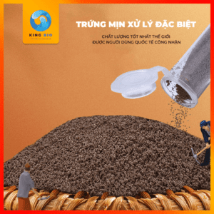 Trứng Artemia ấp nở Yee Brine Shrimp tỷ lệ nở cao lên hơn 90% - Ảnh 3