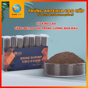 Trứng Artemia ấp nở Yee Brine Shrimp tỷ lệ nở cao lên hơn 90%