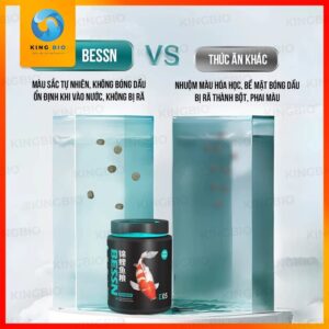 Cám Bessn Koi Food thức ăn cao cấp giàu đạm, tảo xoắn và giàu Vitamin cho cá KOI - Ảnh 3