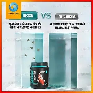 Cám Bessn Koi Food thức ăn cao cấp giàu đạm, tảo xoắn và giàu Vitamin cho cá KOI - Ảnh 3