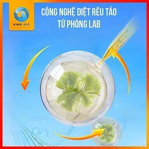 Chế phẩm sinh học diệt rêu tảo Yee Algaecide - Ảnh 3