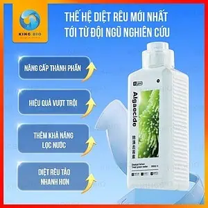 Chế phẩm sinh học diệt rêu tảo Yee Algaecide - Ảnh 4