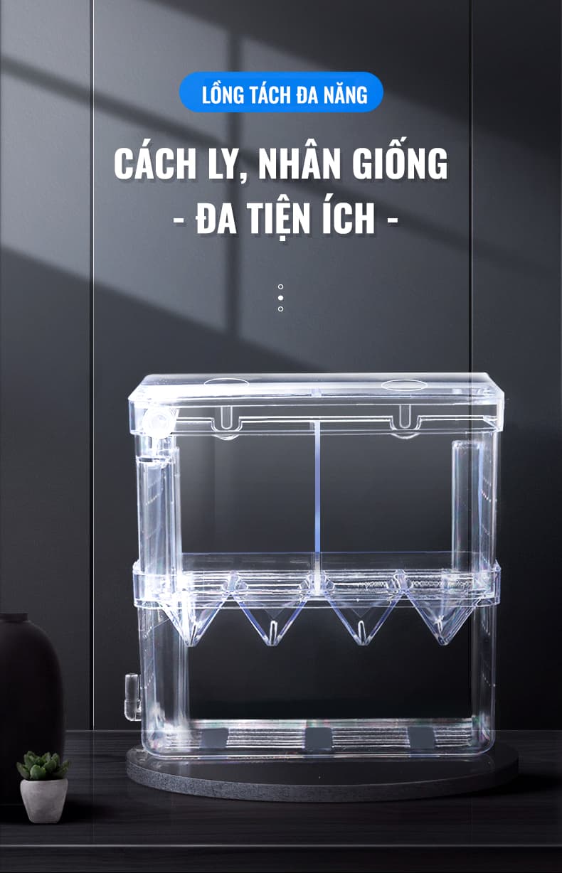 Lồng Tách Cá Yee
