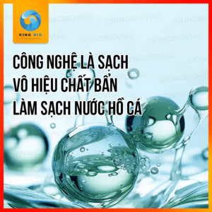Chế phẩm sinh học cân bằng môi trường sống cho cá, khử Clo nước máy và ổn định PH Yee Stabilizer - Ảnh 3