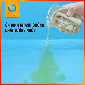 Chế phẩm sinh học cân bằng môi trường sống cho cá, khử Clo nước máy và ổn định PH Yee Stabilizer - Ảnh 5